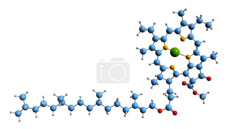 Foto de Imagen 3D de la fórmula esquelética de la clorofila - estructura química molecular del pigmento fotosintético aislado sobre fondo blanco - Imagen libre de derechos