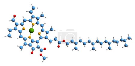 Foto de Imagen 3D de la fórmula esquelética de la clorofila b - estructura química molecular del pigmento fotosintético aislado sobre fondo blanco - Imagen libre de derechos