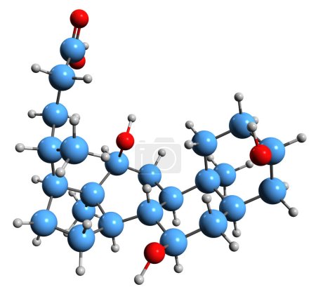 Téléchargez les photos : Image 3D de la formule squelettique de l'acide cholique - structure chimique moléculaire de l'acide biliaire primaire isolé sur fond blanc - en image libre de droit