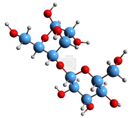 Téléchargez les photos : Image 3D de la formule squelettique Cellobiose - structure chimique moléculaire du disaccharide isolé sur fond blanc - en image libre de droit