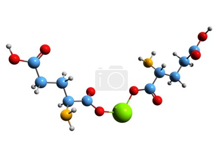 Image 3D de la formule squelettique du diglutamate de magnésium - structure chimique moléculaire de l'exhausteur de goût isolé sur fond blanc