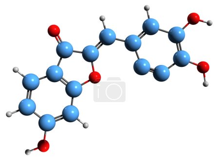 Foto de Imagen 3D de la fórmula esquelética de Sulfuretin - estructura química molecular del flavonoide aislado sobre fondo blanco - Imagen libre de derechos