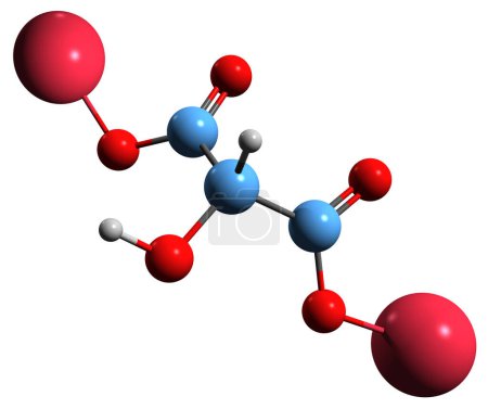 Téléchargez les photos : Image 3D de la formule squelettique du malate de sodium - structure chimique moléculaire de l'hydroxybutanedioate de disodium isolé sur fond blanc - en image libre de droit