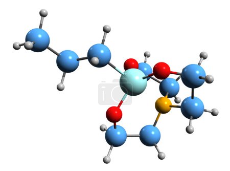  Image 3D de la formule squelettique Silatrane - structure chimique moléculaire de l'atrane organosilicium isolé sur fond blanc