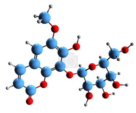 Foto de Imagen 3D de la fórmula esquelética de Fraxin - estructura química molecular de la paviina aislada sobre fondo blanco - Imagen libre de derechos