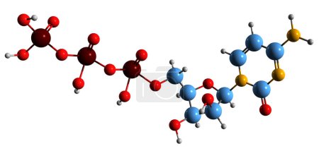 Foto de Imagen 3D de la fórmula esquelética del trifosfato de citidina - estructura química molecular del trifosfato de nucleósido de pirimidina aislado sobre fondo blanco - Imagen libre de derechos