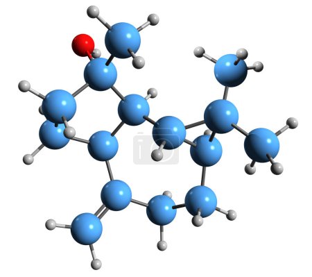 Téléchargez les photos : Image 3D de la formule squelettique de Spathulenol - structure chimique moléculaire de l'alcool de sesquiterpène tricyclique isolé sur fond blanc - en image libre de droit