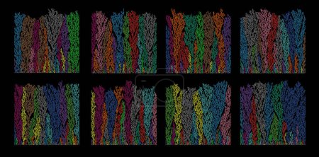 Téléchargez les photos : Ensemble de structures d'agrégation à diffusion limitée pour automates cellulaires - Visualisation des modèles d'arbres browniens - en image libre de droit