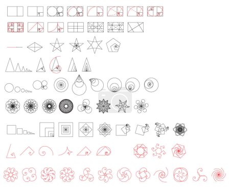 Illustration for Big Golden ratio elements set - visualization of Fibonacci Sequence - vector concept of Divine Proportion - Royalty Free Image