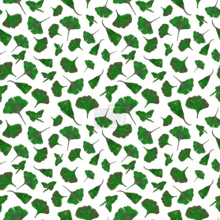 Photo for Beautiful Gingko Leaves on white background. Raster seamless background. Green Gingko leaves. Nature seamless background - Royalty Free Image