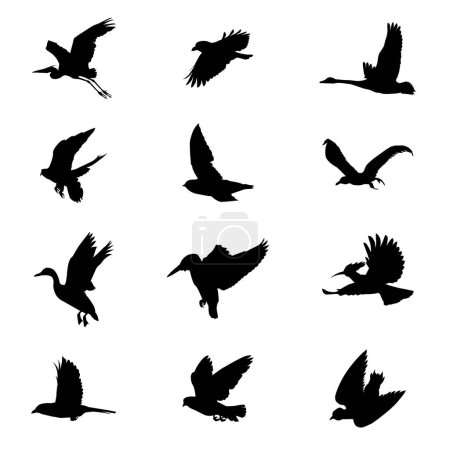Téléchargez les illustrations : Collection de silhouettes d'oiseaux volants pour créer des compositions d'œuvres d'art - en licence libre de droit
