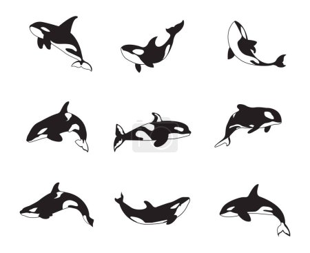 A vector collection of Orcas for artwork compositions.