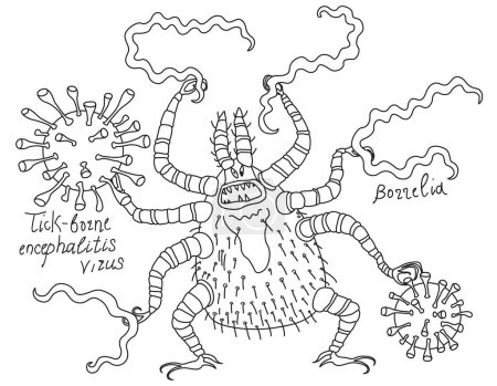 Illustration for Cartoon tick holds borrelia bacillus and a tick-borne encephalis virus in its claws - Royalty Free Image