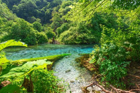Téléchargez les photos : Blue Eye source d'eau merveille naturelle, situé dans le sud de l'Albanie. Il est nommé d'après sa couleur bleue envoûtante, qui ressemble à un œil géant et vibrant. - en image libre de droit