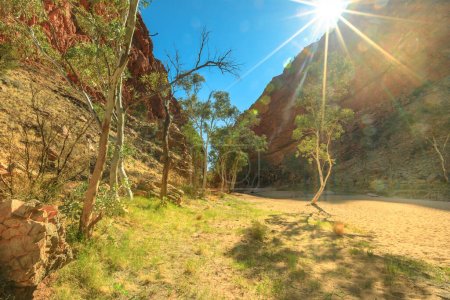 Photo for Sunbeams on bush vegetation with eucalyptus and gum tree on dry riverbed of Simpsons Gap in West MacDonnell National Park, Northern Territory, Australia outback near Alice Springs. - Royalty Free Image