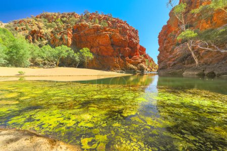 Téléchargez les photos : Ellery Creek Big Hole est un trou d'eau permanent et un site géologique avec des falaises rouges dans le parc national West MacDonnell, à 80 km d'Alice Springs, Larapinta Namatjira Drives, Territoire du Nord, Australie. - en image libre de droit