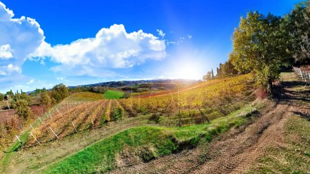 Urlaub auf den Weinbergterrassen. Panoramalandschaft in der Gemeinde Valsamoggia in der Metropolstadt Bologna der Emilia in Italien. Berühmt für den Barbera-Wein von Serravalle.