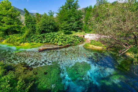 Téléchargez les photos : La piscine d'eau naturelle Blue Eye, dans le sud de l'Albanie, est formée par une rivière souterraine qui émerge d'une profondeur de plus de 50 mètres ou 164 pieds et crée une belle piscine circulaire. Vue aérienne - en image libre de droit