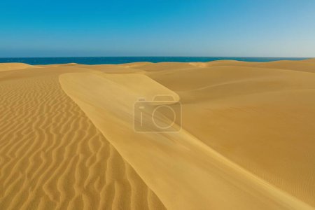 Gran Canaria trip to the Maspalomas Dunes and Beach. These popular attractions are a must-see for tourists seeking a memorable experience on the island.