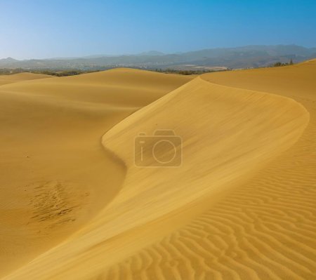 Las Dunas de Maspalomas de Gran Canaria es una maravilla natural que ofrece una experiencia única en el desierto. El vasto sistema de dunas de arena es un espectáculo para contemplar, con sus intrincados patrones esculpidos por el viento.