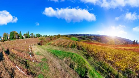 Luftaufnahme der Landschaft zwischen terrassenförmig angelegten Weinbergen des emilianischen Winzerdorfes Valsamoggia in den emilianischen Apenninen. Italienische Landschaft und berühmt für Barbera-Weine aus der Region Emilia in Italien.