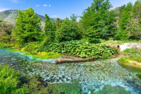 Téléchargez les photos : Blue Eye source d'eau est un phénomène naturel situé dans la partie sud de l'Albanie. Cette merveille captivante tire son nom de sa superbe teinte bleue, qui ressemble à un oeil colossal et vif. - en image libre de droit