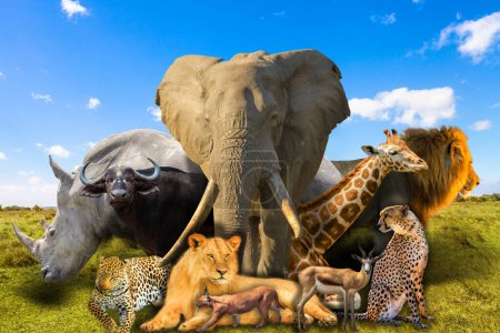 Big Five und wilde afrikanische Tiere collagieren auf Savannenlandschaften. Wildnisgebiet Serengeti in Tansania, Afrika. Afrikanische Safari-Szene. Hintergrundbilder. Blauer Himmel.