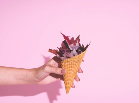Foto de La mano femenina sostiene hojas de arce en cono de helado. Composición horizontal mínima sobre fondo rosa, divertido concepto de belleza otoñal - Imagen libre de derechos