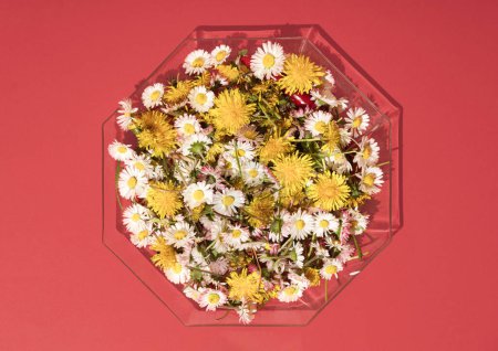 Foto de Las flores de primavera se servían en un plato. Composición horizontal de posición plana mínima sobre un fondo rojo, concepto de belleza de primavera colorido - Imagen libre de derechos