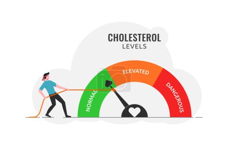Illustration for Cholesterol level meter gauge with arrow indicator for healthcare and heart health analysis, high and low fat test, blood risk and good or bad health control, a man pulling rope to normal position - Royalty Free Image