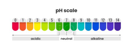 Téléchargez les illustrations : Diagramme alcalin acide de diagramme de couleur d'indicateur d'échelle de pH, diagramme de couleur de papier de litmus avec le nombre de valeur - en licence libre de droit