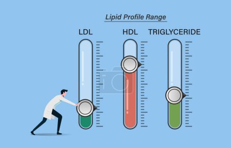 Illustration for Maintain optimal lipid profile levels or range. Reduces the risk of heart and degenerative diseases. Healthcare provider try to lowering blood lipids. Healthy lifestyles - Royalty Free Image