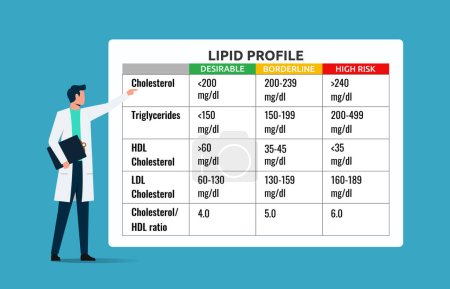 Illustration for Lipid profile range. Healthcare providers share information about the blood lipid range and its importance for human health to prevent the risk of degenerative diseases - Royalty Free Image