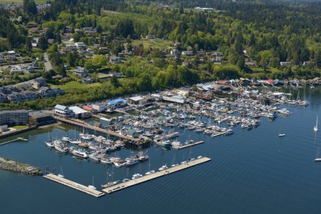 Foto de Foto aérea, Isla Vancouver, Columbi Británica - Imagen libre de derechos