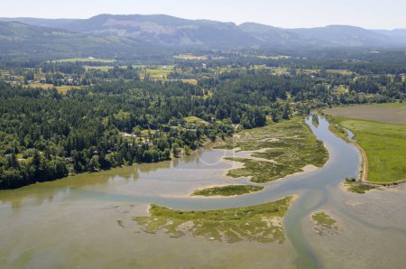 Photographie aérienne de l'estuaire de la baie Cowichan, île de Vancouver, Colombie-Britannique, Canada.