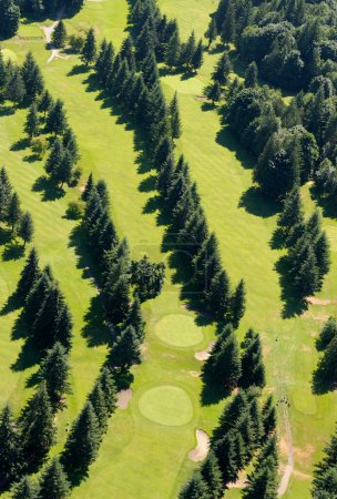 Cowichan Golf and Country Club, Honeymoon Bay, Cowichan Lake, Vancouver Island aerial photography, British Columbia, Canada.