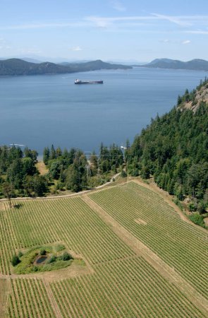 Foto de The Saturna Island Family Estate Winery, Saturna Island, Columbia Británica, Canadá. - Imagen libre de derechos