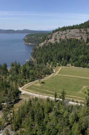 Foto de The Saturna Island Family Estate Winery, Saturna Island, Columbia Británica, Canadá. - Imagen libre de derechos