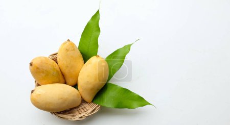 Téléchargez les photos : Mangue jaune mûre mangue dorée, mangue jaune, doré nam dok mai mangue, barracuda mangue (mangifera indica) roi des fruits dans un panier de bambou isolé sur fond blanc. - en image libre de droit