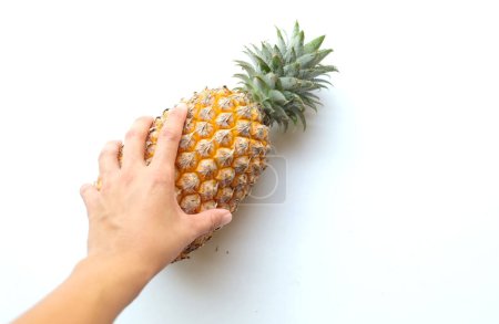 Téléchargez les photos : Femme tenant à la main un isolat organique jaune mûr d'ananas (Ananas comosus (L.) Merr) frais sur fond blanc. concept de fruits d'été. - en image libre de droit