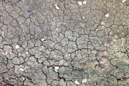 Téléchargez les photos : Texture du sol fissuré sec et surface de boue brune fissurée. Le sol a des fissures dans la vue supérieure pour le fond ou la conception graphique avec le concept de sécheresse et de mort. image horizontale - en image libre de droit