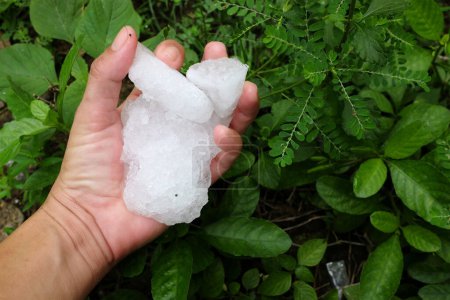 Téléchargez les photos : Main humaine tient cristaux de glace decongélateur au réfrigérateur - en image libre de droit