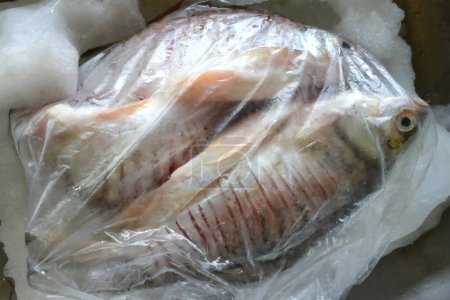 Close Up raw frish meat in freezing refrigerator compartment. Frozen food.Plastic bags with different frozen meat in refrigerator.Food long storage