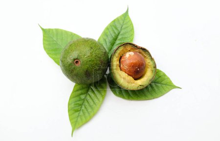 avocat vert frais mûr Alpukat ou Avocat (Persea americana) fruits coupés en deux tranches avec des feuilles isolées sur fond blanc. fruits exotiques tropicaux et fruits sains