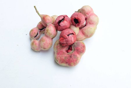 fresco rojo maduro a Manila fruta de tamarindo (Pithecellobium dulce) vainas con semillas aisladas sobre fondo blanco.Fruta popular en tailandia.Frutas tropicales exóticas saludables