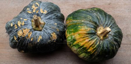 A pile of fresh raw green Japanese pumpkin (Cucurbita moschata) ,Kabocha squash,isolated on a wooden table old backdrop.Healthy food vegetable, fruit, and food business idea