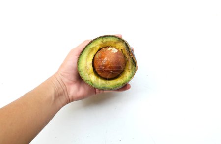 Top view of a Delicious ripe green Avocado cut in halfin human hands as snack or appetizer for vegan dieting isolated on white backdrop
