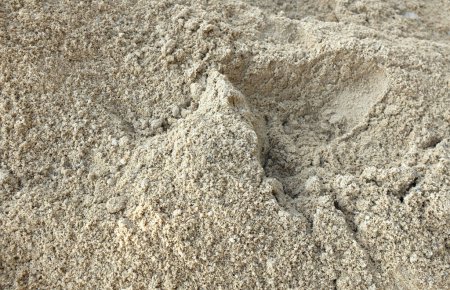 braune Oberfläche des Sandstrandes, Sand am Strand natürliche Textur für den Hintergrund. Schöne abstrakte Spa-Konzept Banner des Meer Paradies Insel der Sommertage, Draufsicht