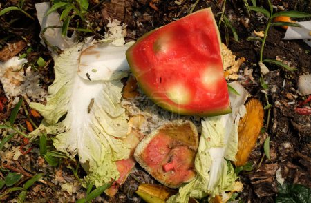 Organische Abfälle, Lebensmittelabfälle, die zur Kompostierung verwendet werden.