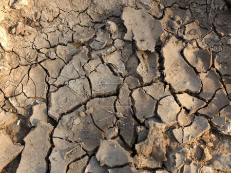 Bodenrisse Isolierte Risse und beschädigte Bruchstelle, Struktur der getrockneten Erde mit Lehm und Sand. Wüste, globale Erwärmung, Klimawandel. Konzept der Dürre und des Todes